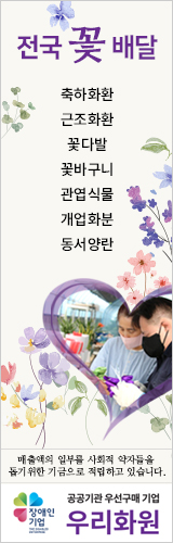 배너