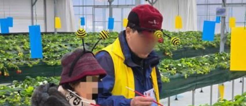 송파구, 치매 환자‧가족, 추억 만드는 특별한 농업체험