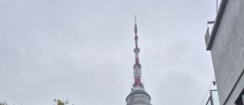 서초구, 장기요양어르신과 돌봄가족 위한 '남산 가을 나들이' 성료