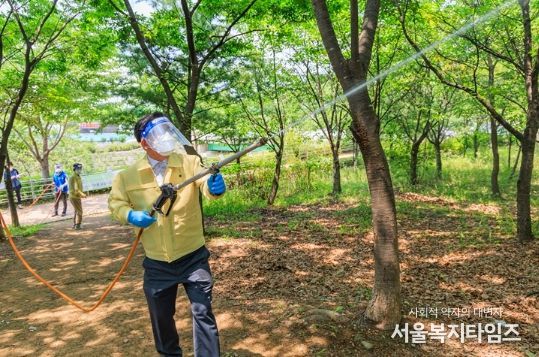 지난해 7월 상암동에서 직접 러브버그 방제에 나선 박강수 구청장