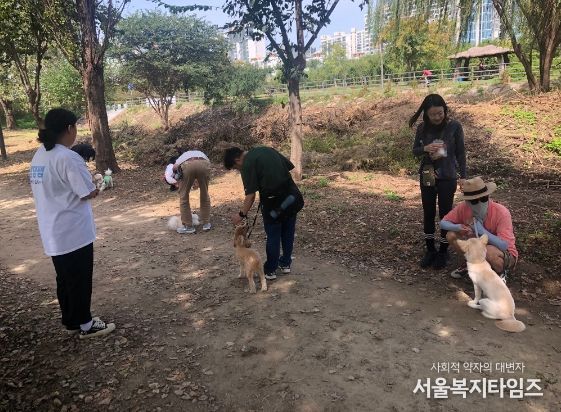 지난달 23일 제5기 반려견 산책교육을 진행하고 있다