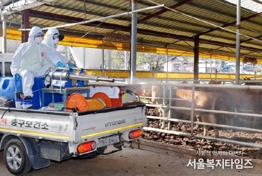 대전 중구, 럼피스킨 차단 방역 총력