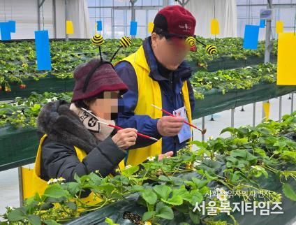 딸기 따러 왔나 봄