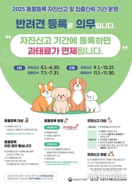 홍보 포스터
