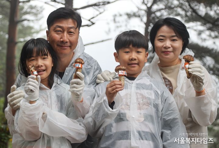 2025 양양송이축제 관련 사진