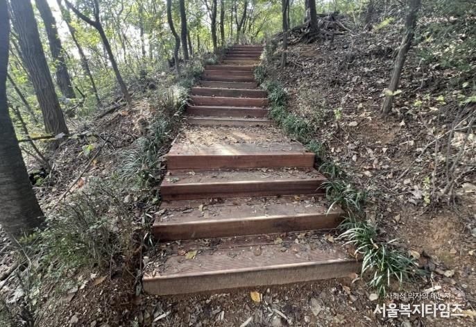 서대문구가 8∼10월 시행한 관내 궁동산 등산로 정비 후 모습