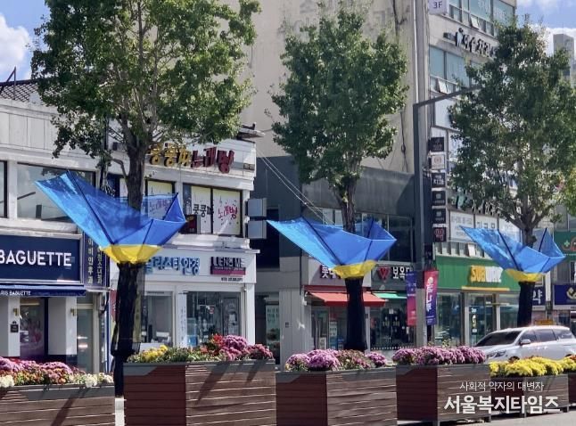 여주시, 은행나무 열매 악취 STOP!