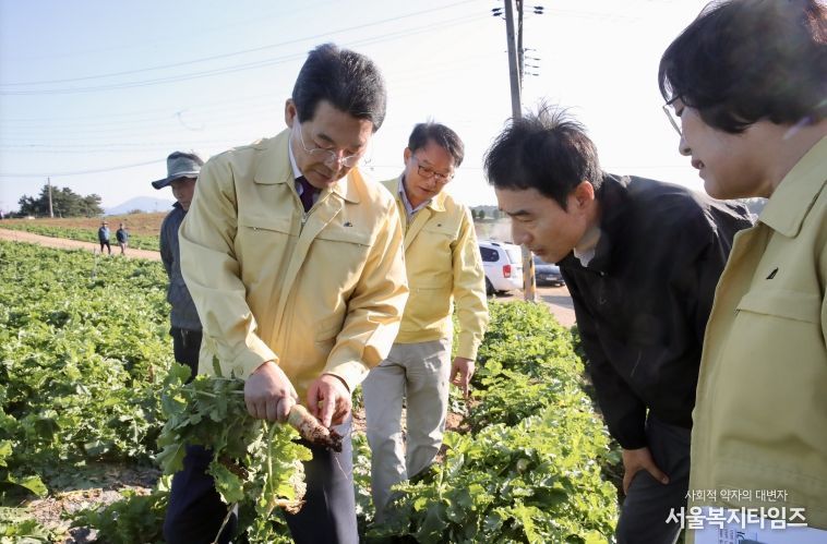 권익현 부안군수, 김장 채소 병해충 피해 현장 방문