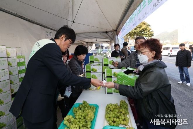 무주 반딧불 샤인머스켓 판촉행사