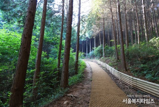 고흥군, 2025년 SRT 어워드 ‘국내 최고의 여행지’ 2년 연속 대상 수상