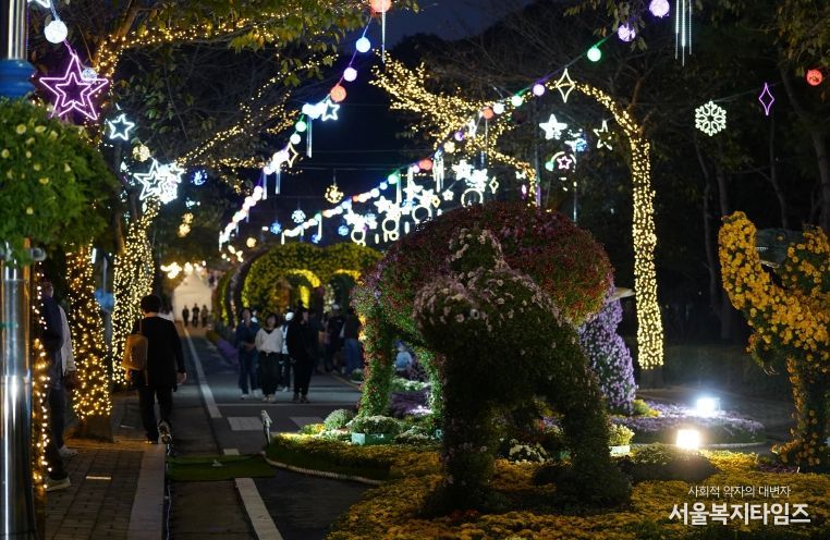 해남미남축제 즐길거리 (국화향연)