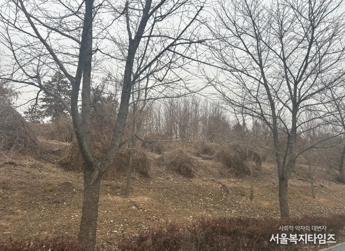 이천시, 2026년 도시숲리모델링사업 선정