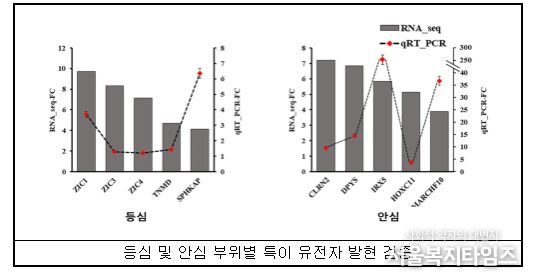 한우 고기 부위별 전사체 분석 결과
