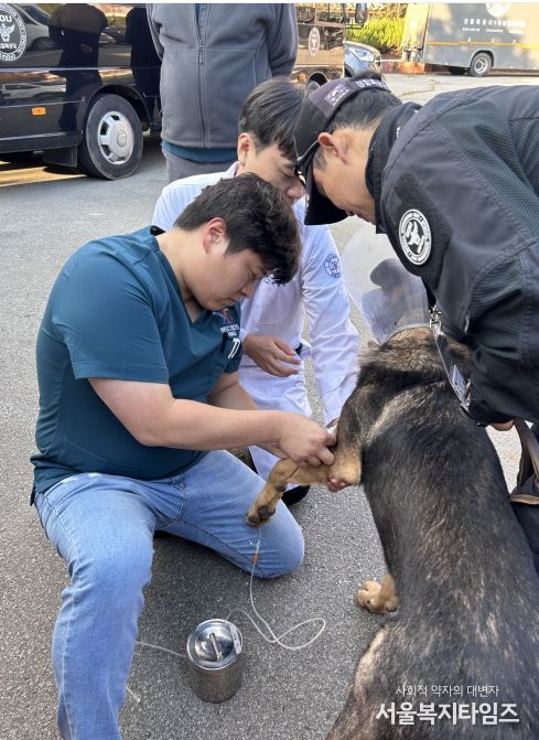 경상국립대학교 수의과대학, APEC 정상회의 기간 경찰견 의료지원
