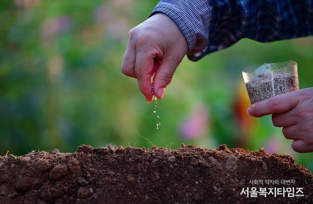 제1회 국립종자원 종자사진 공모전 수상작(대상(농식품부장관상) 수상자 : 강미자 작품명 : 참깨씨 뿌리기)