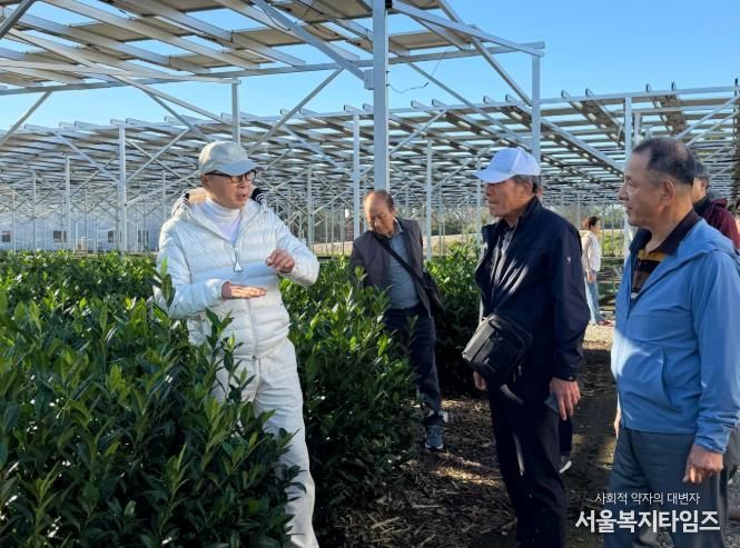 보성군, 일본 시즈오카 벤치마킹 통해 ‘K-TEA 보성말차’ 글로벌 성장 시동_영농형 태양광을 설치한 스마트 에너지 다원인 스츠카 솔라 차원을 방문했다