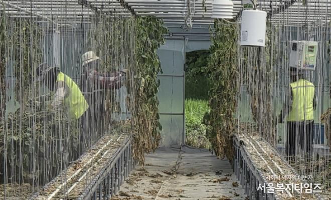 보은군, 라오스 계절근로자 파견 종료… 1582농가에 ‘든든한 힘’