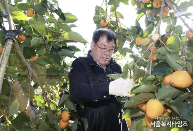 산청군, 농촌 일손 돕기 '구슬땀'