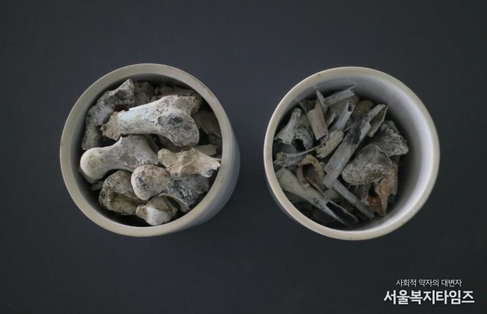 2005년 3월 경상북도 포항시 북구 흥해읍 도음산 정상에서 발굴한 국군 제8사단 10연대 소속의 고(故) 양이한 일병의 유해