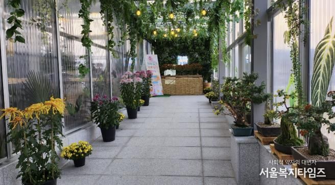 홍성군, 치유쉼터 ‘국화향기 전시 ’ 운영