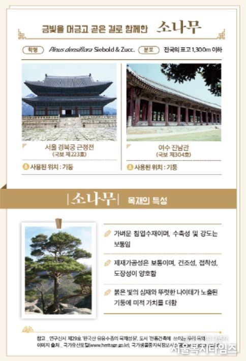 간행물 '이木저木 목재문화유산' 내지 목재문화유산 속 소나무