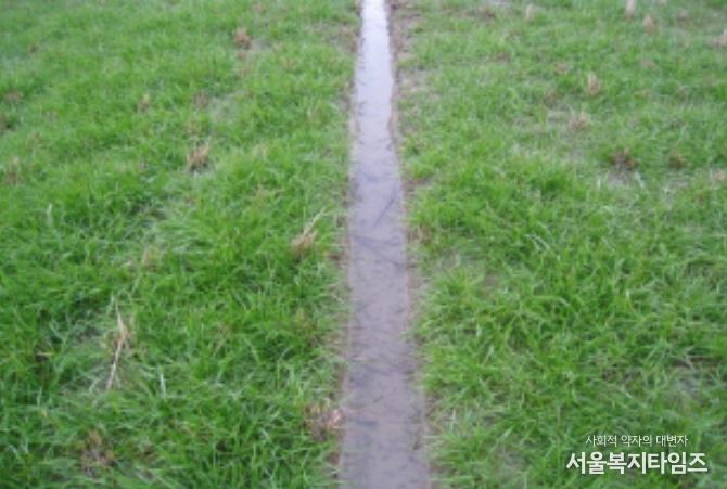 배수로가 정비된 재배지