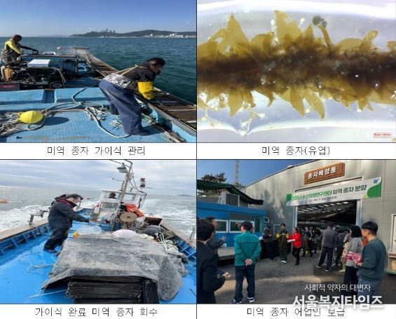기장군, 자체생산 고품질 기장미역 종자 양식어업인 보급