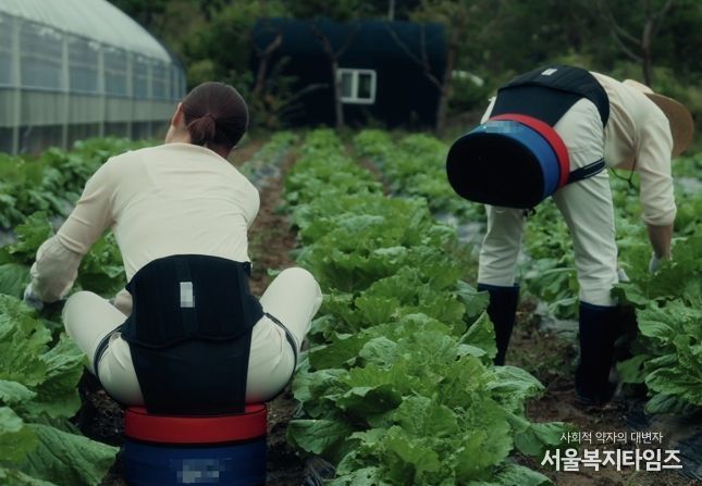 나주시가 올해 보급한 농작업 편의의자가 농업인들로부터 큰 호응을 얻고 있다.