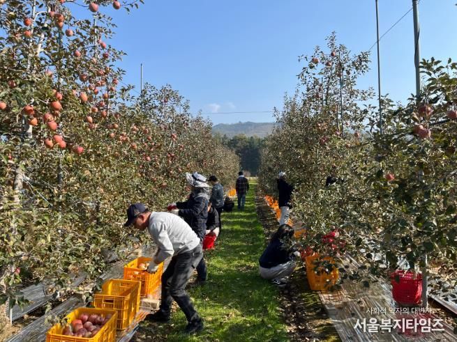정선군, 지역사회 협력 농촌일손돕기 628명 참여 ‘농번기 인력난 해소 성과’