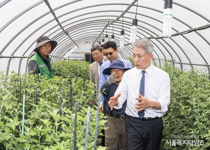 윤환 구청장, '가을꽃 전시회' 준비 국화 재배 현장 확인(2025년 5월)