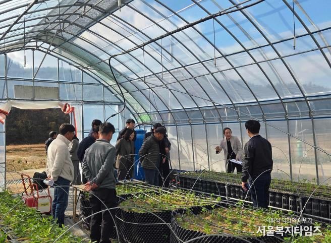 진도군, ‘지초 시범사업 결과평가회’… 지초 재배 기술 향상