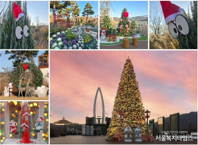 옥정호 출렁다리‧붕어섬 생태공원에도 ‘메리 크리스마스’…성탄 관광 저격