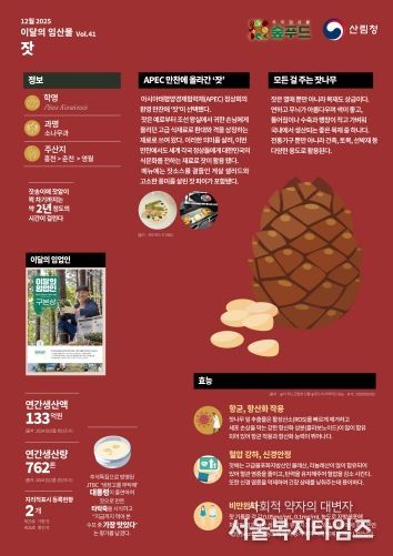 2025 이달의 임산물-12월 `잣`