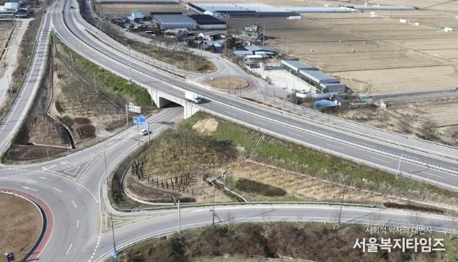 국도45 삽교교차로 기후대응도시숲 조성 모습