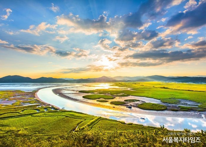 용산전망대에서 바라본 순천만습지