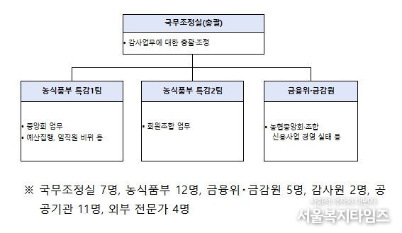 정부합동 특별감사반 구성 및 인원