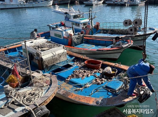 꼼치 사진-여수연안 꼼치 어획 현장