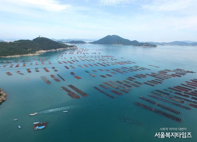 완도 전복 양식장 전경