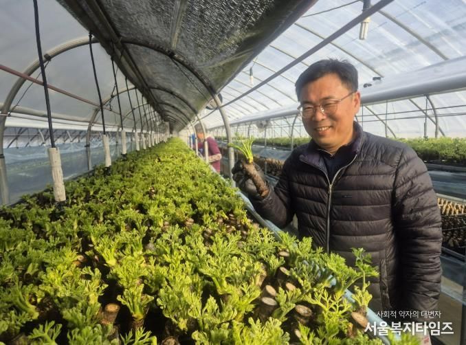 봄나물 두릅 겨울에도 맛본다… 청주시 기술지원으로 조기출하