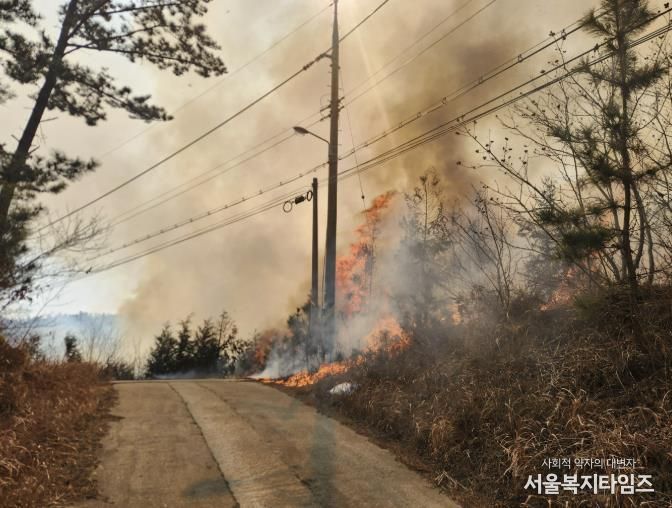 지난해 3월 이원 산불 당시 모습