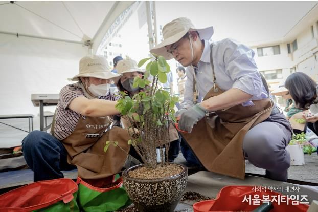 찾아가는 반려식물 관리서비스 현장에서 분갈이 중인 이기재 양천구청장