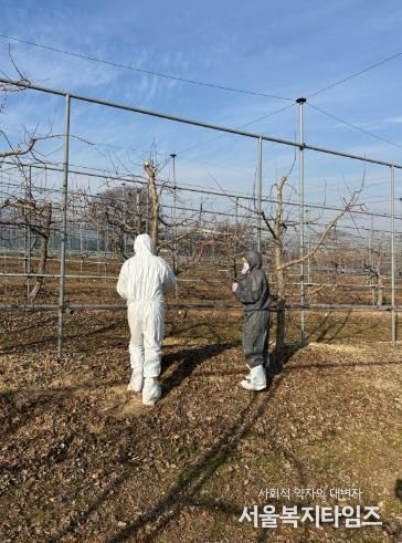 임실군, 과수화상병 궤양 제거 ‘예방의 첫걸음’