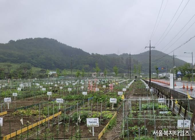 진주시, 도심 속 농업체험장‘시민 텃밭’분양 성황리 마감