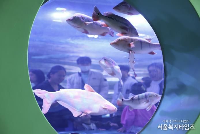 충주아쿠아리움, 개장 4개월 만에 누적 관람객 20만 명 돌파
