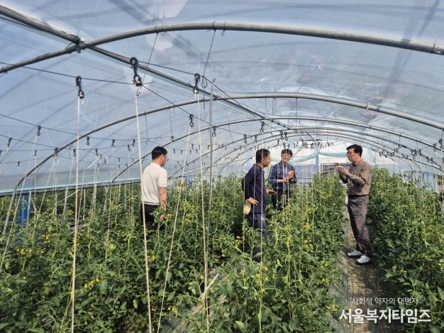 토마토뿔나방 현장지도