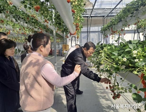 광주시 김충범 부시장, 곤지암읍 딸기 재배 농가 현장 방문